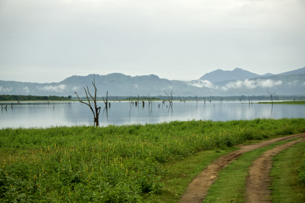 SAFARI AU SRI LANKA